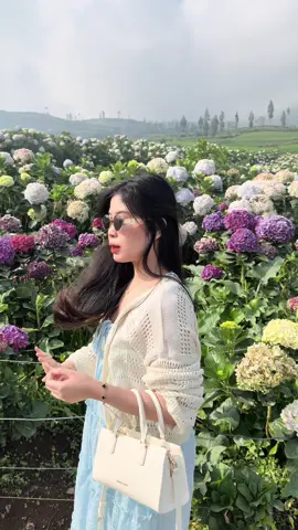 #fy #flower 