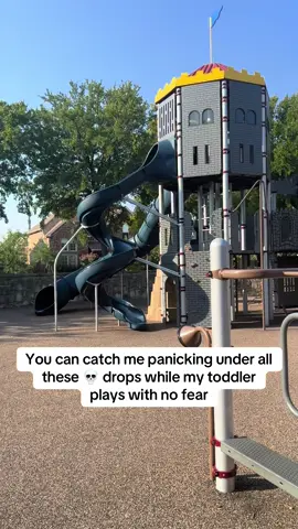 Did Charles Darwin build this playground? #playground #deathdrop 