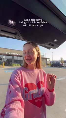 Arkansas was everything we expected it to be 😂 Just over four hours until we get to Nashville!!! #withthewashingtons #roadtrip #catherineebs #travelvlog #dogmom 