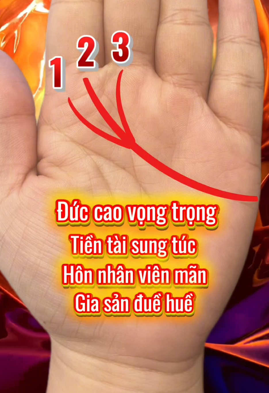 Tâm đạo đuôi phượng #coutxemtay 
