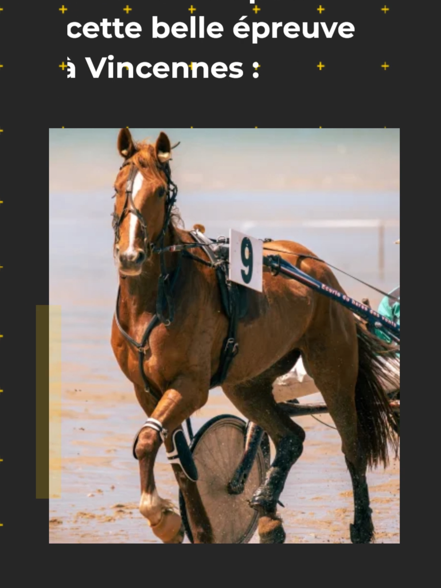 Quinté+ du 19 Septembre 2025 #quinté+ #tiktokquinté #courseshippique #fyp #france