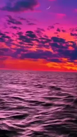 photographychallengechallengeraphychallengechallenge#bengali 