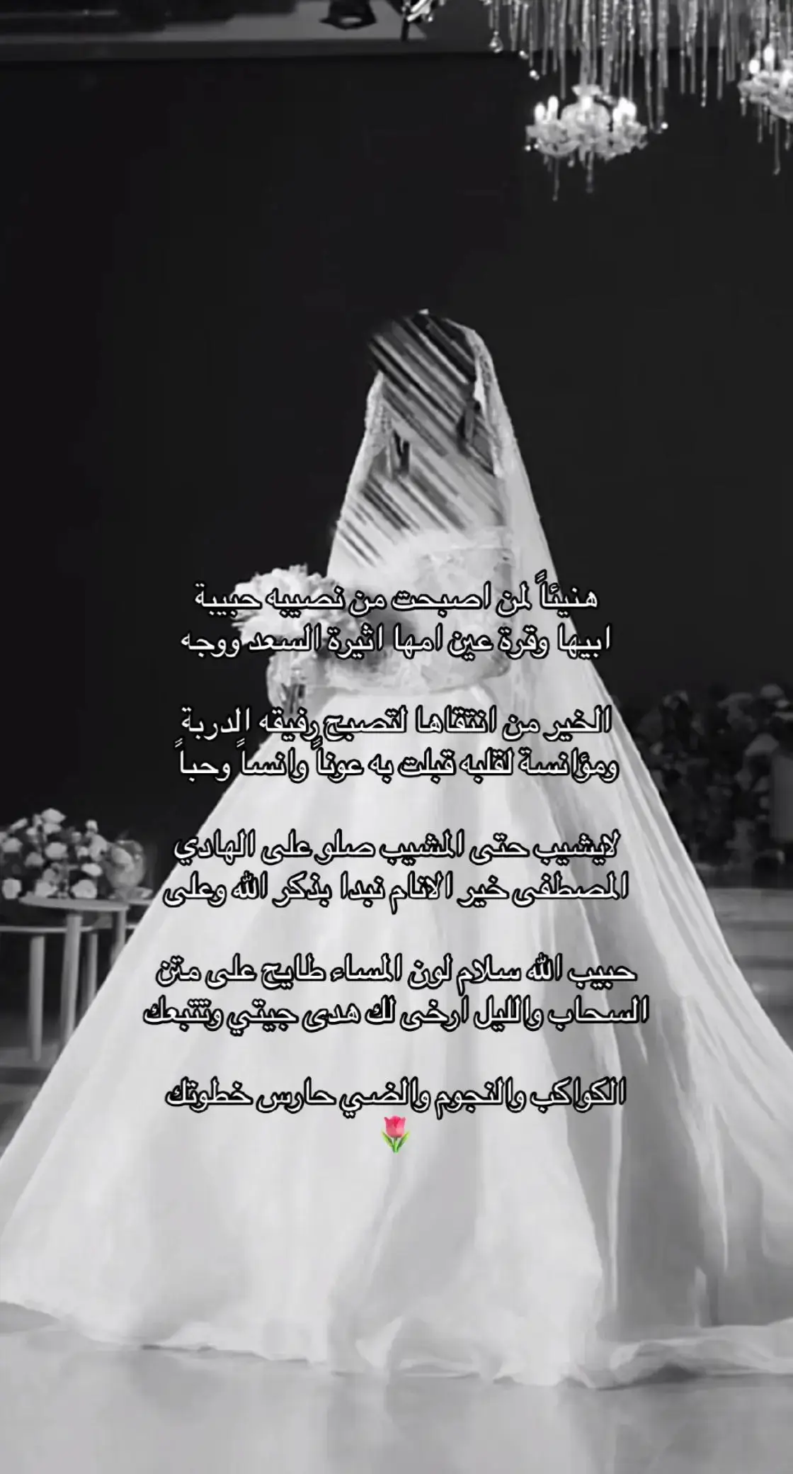 #زفة_عروسه #زفة_ماجد_المهندس_بدون_حقوق  #زفات_راشد_الماجد_بدون_حقوق  #زفات_2024_محمد_عبده #زفه_بدون_موسيقى 