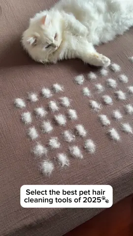 I was skeptical about this product but it worked exactly as shown👏🏻#tiktokshop #PetsOfTikTok #pethairremoval #petproducts #catsoftiktok 