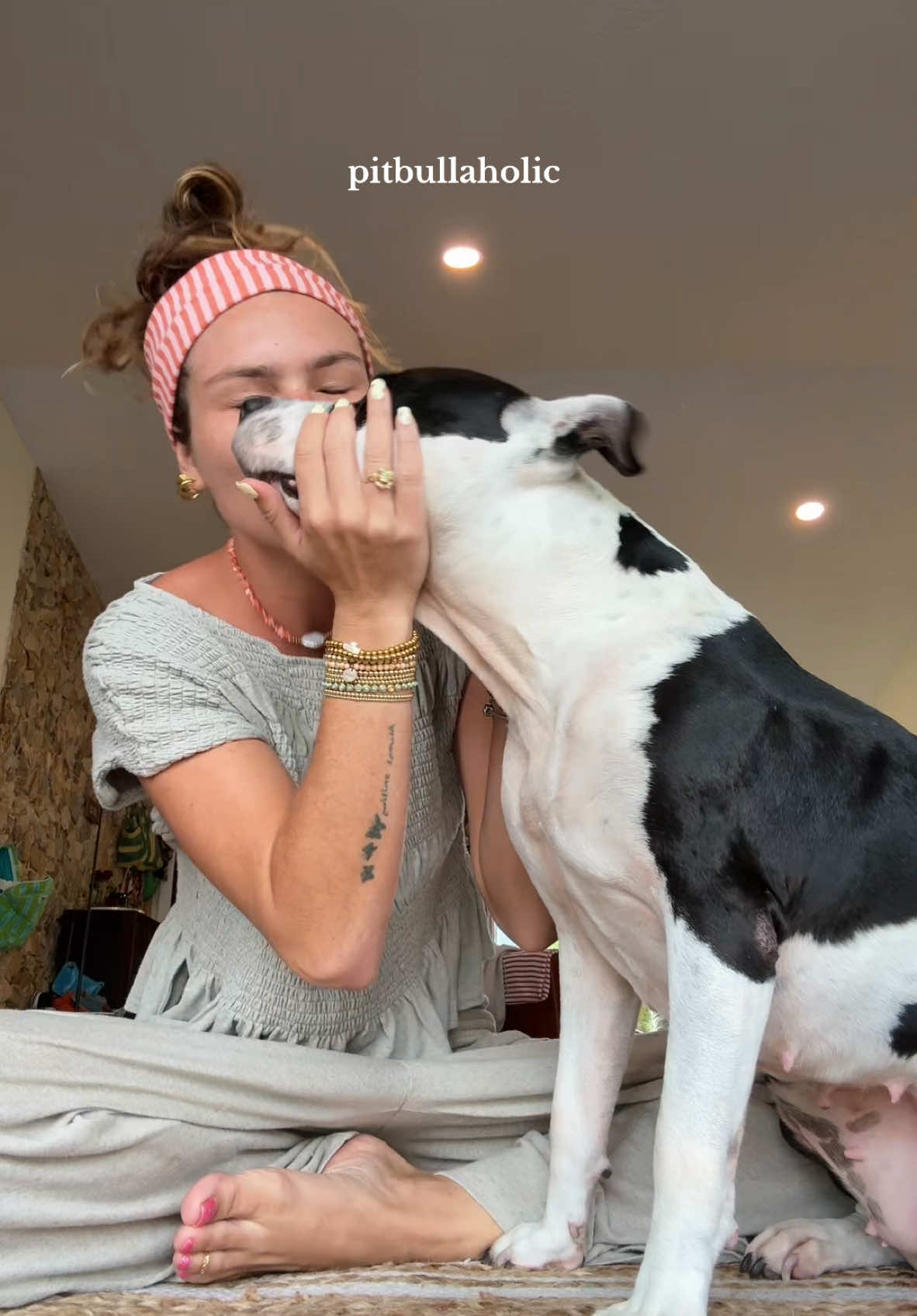 Her just wanting to stare at her iguanas #pitbull #pittylove