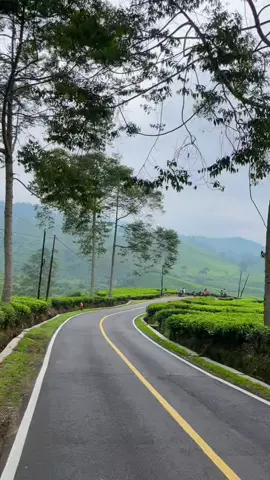 🍃🤍 #ciwidey #bandung #fyp #foryoupage #ciwideybandung 