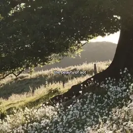 #anime #animeedit #aot #atackontitan #goldenbrown 