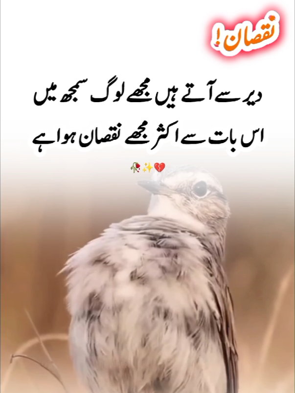 سمجھ پایا نہ کوئی وقت پہ رنجش میری بات نکلی تو فقط حسرتِ جاں باقی تھی #foryou #foryoupage #urdupoetry #lines #aesthetic 