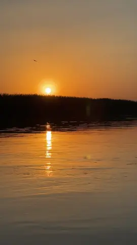 #تصويري_احترافي_الاجواء👌🏻🕊😴 #متابعه_ولايك_واكسبلور_فضلا_ليس_امر #مشاهير_تيك_توك_مشاهير_العرب #تصميم_فيديوهات🎶🎤🎬 