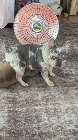 Her attitude is too much #spoiled 