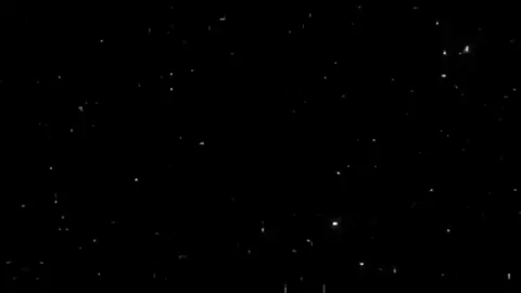 عشنا و شفنا بلدنا غابه 👎🏼🖤#حلات_واتس #ترند_تيك_توك #شاشة_سوداء #alg3my #foryou 