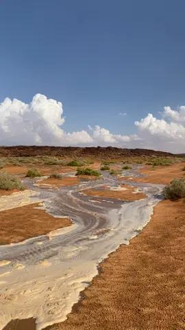 #اكسبلور #explore #السعودية #الجوف #النفود 