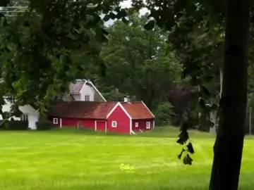 هواي ناس بنوا قصور#الشيخ_احمد_الوائلي 