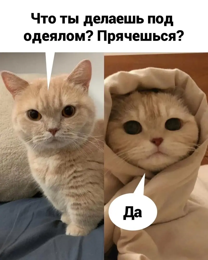 #жиза #настроение #переписка #отношения #мысли 