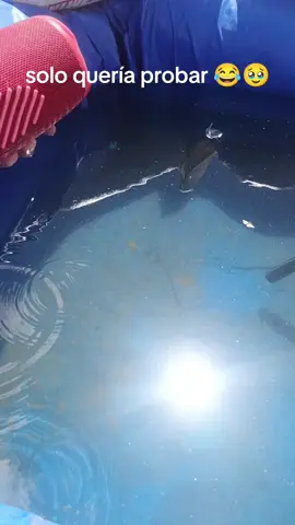 #se malogro 🥹🤣#jbl #viral 