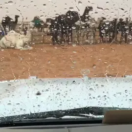 #الشتاء #2016 