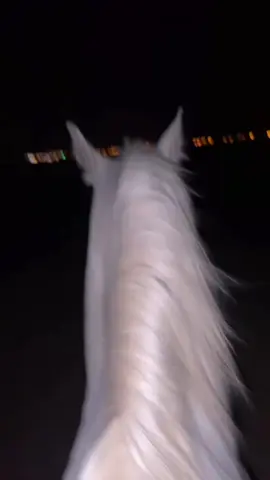 #مالي_خلق_احط_هاشتاقات #شعب_الصيني_ماله_حل😂😂 