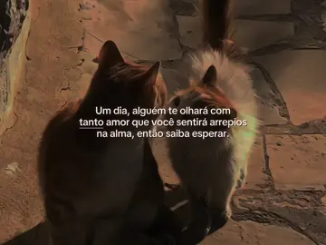 14:28 | cansei de amores rasos #fyppppppppppppppppppppppp #frasesdeamor #apaixonado #fyp #frases 