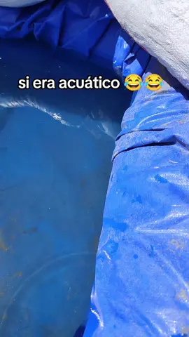 si funciono 😂#jbl #umor #viraltiktok #viralvideos #viral 