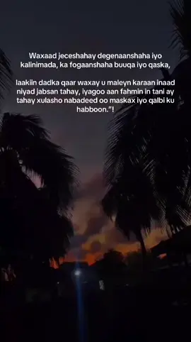 Ma tahay qof jecel degenaanshaha, kana fogaada buuqa iyo qaska nolosha?”