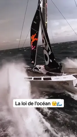 La loi de l'océan 🌊 Et vous... tiendrez-vous 1 minute face à ces vagues ?🫣 #Ocean #SodeboVoile #ExtremeSports #Voile #PourToi 