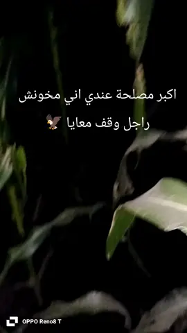 👌🦅 #CapCut  #شيخ_الشباب_👑  #الشعب_الصيني_ماله_حل😂😂 