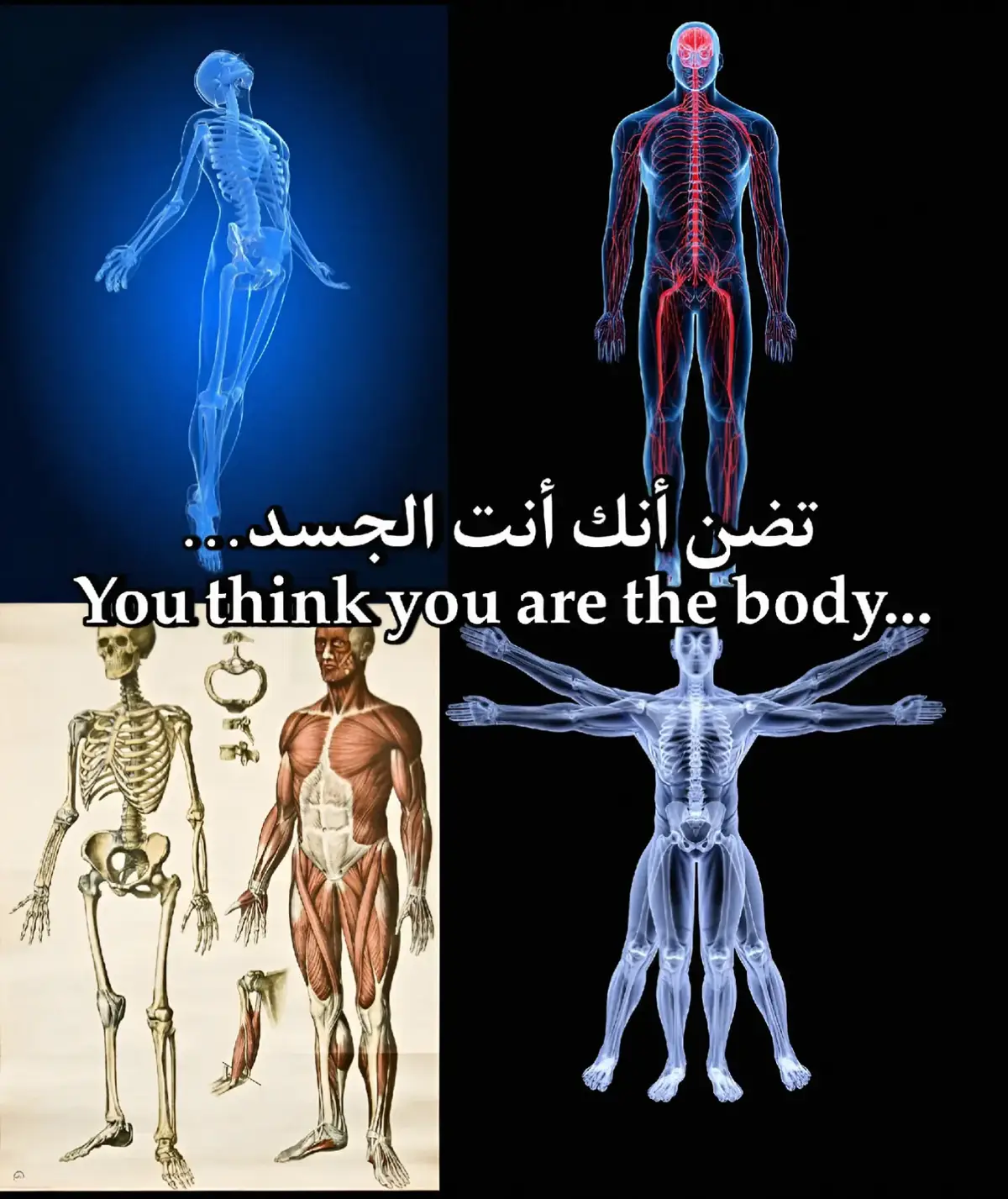 #حقائق #معلومات 