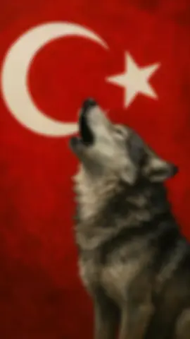 #fypage #fypppppppppppppppppppppp #keşvet #asenabozkurt #CapCut 