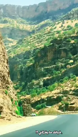 #مجرد________ذووووووق🎶🎵💞 
