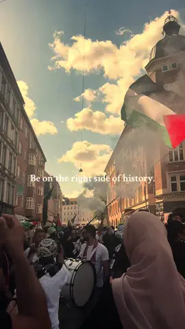 Don’t be scared and speak up! FREE PALESTINE!! #palestine #freepalestine #politics #peace #fyp 