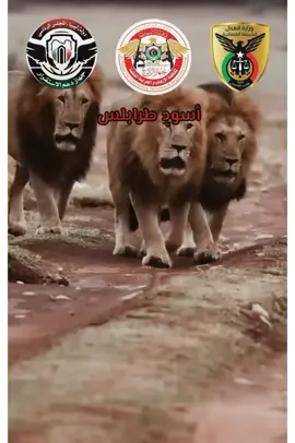 قوة الردع الخاصة هادي ذرة التاج لطرابلس😎💪🔥