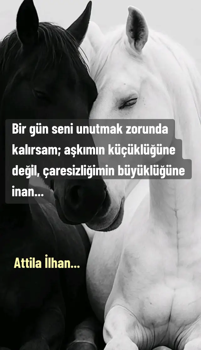 Buna inan sadece...