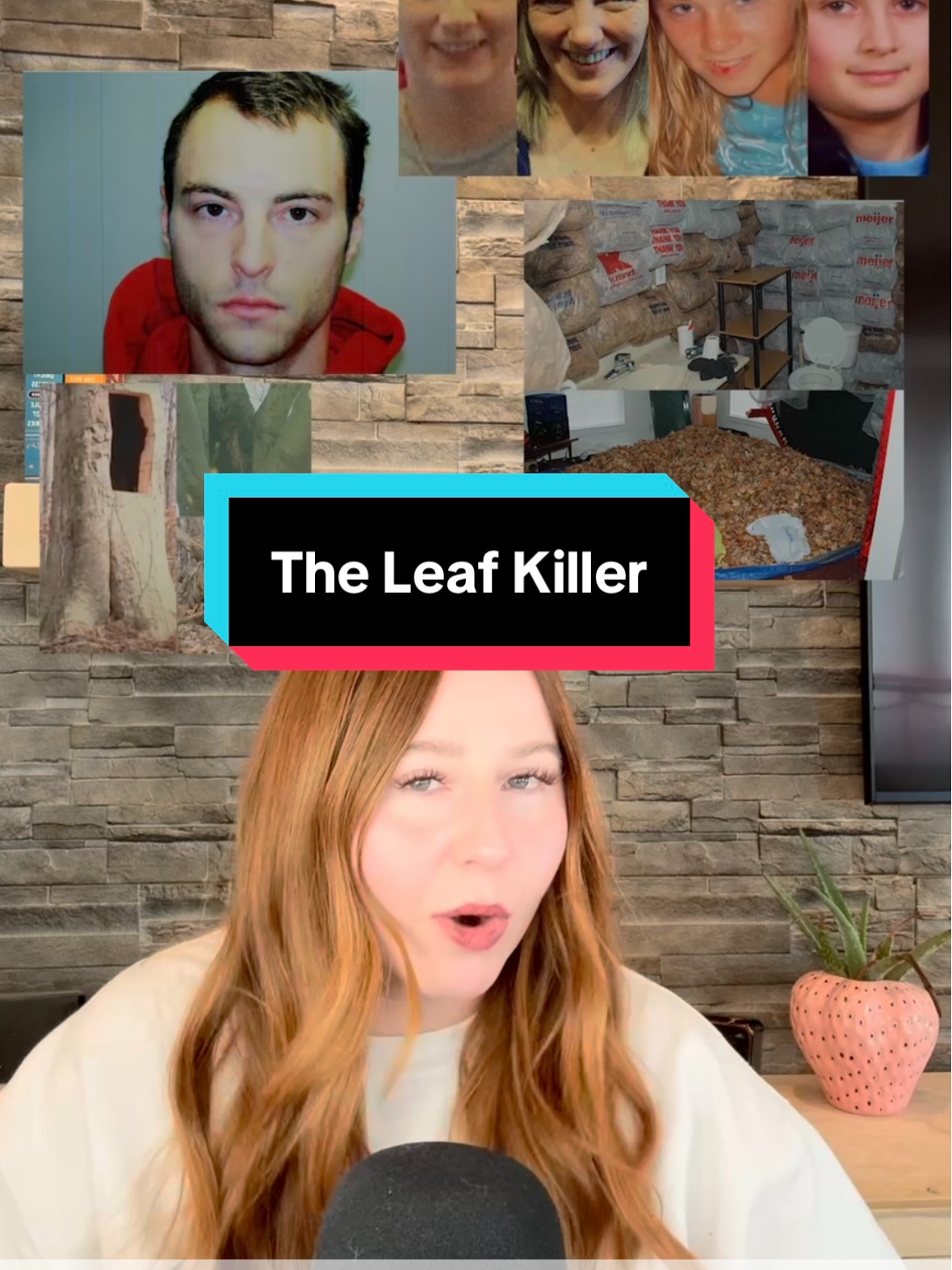 His house... and the leaves... literal nightmare fuel. #truecrime #truecrimecommunity #truecrimetiktok #truecrimestorytime #truecrimeanytime #crimetoks #theleafkiller #ohio #fyp