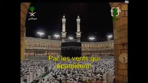 #في هذا اليوم 