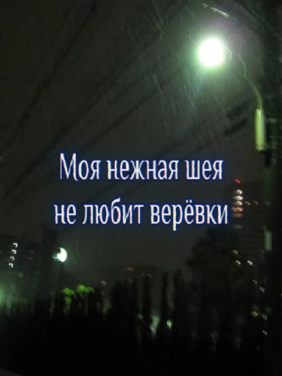 Алёна Швец - Ветер пахнет цветами #песня #текстпесни #музыка #songlyrics #алёнашвец 