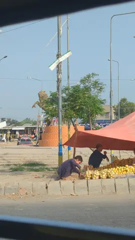 qroshi mor d I khan city #dikhanking👑 #zarsanga_poshtosong #foryoupage #foryou @tiiktokcreators 