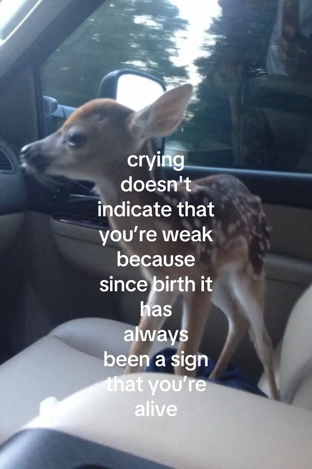 @nousernamefounded420  #fyp #weak #crying #youarestrong #xyzabc 