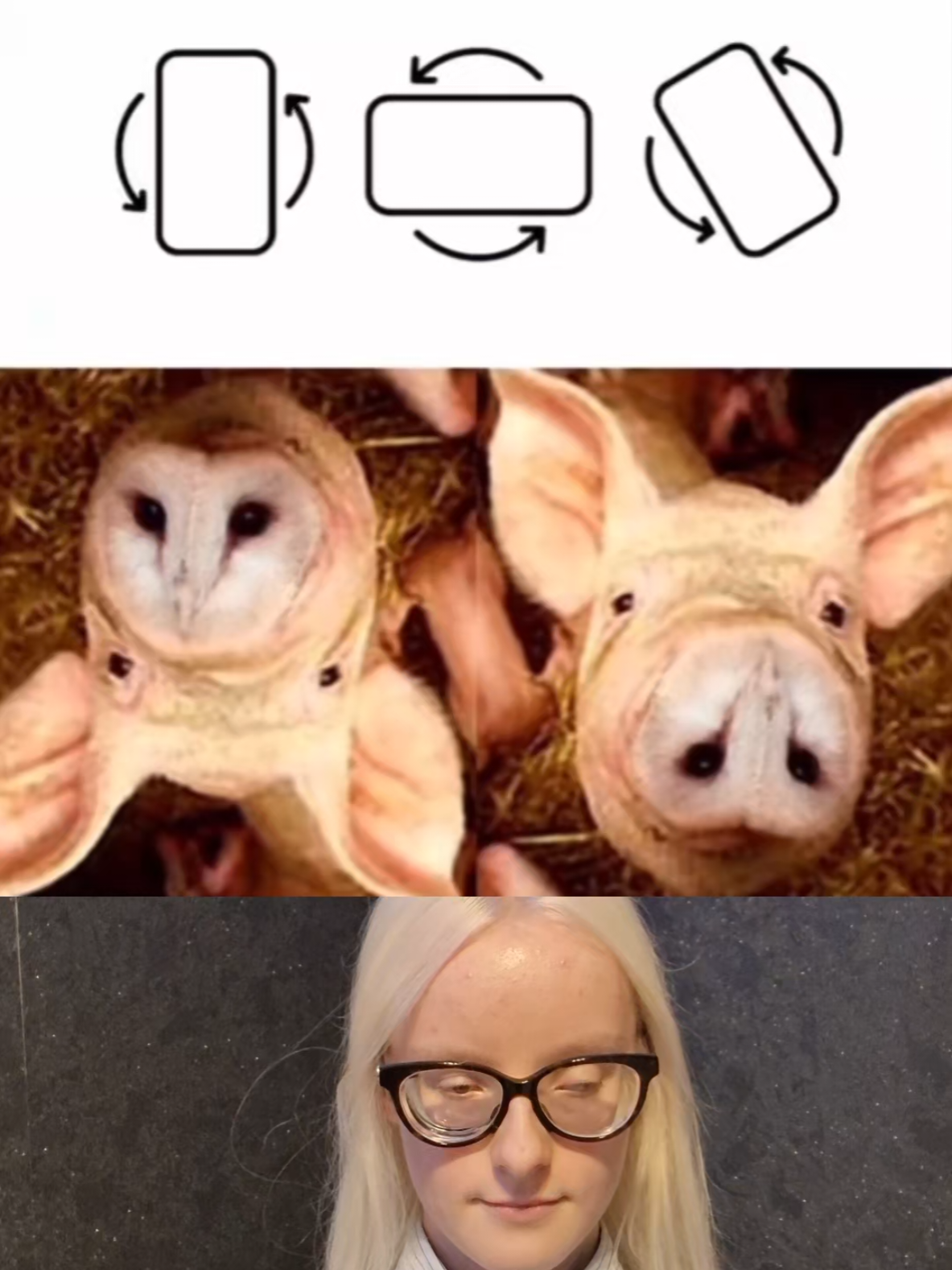 Magischer trick #magictrick #trick #magic 