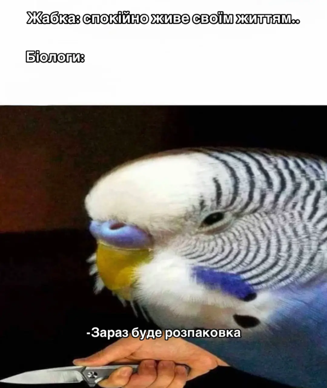 Вибачте 🙈  #українськийтікток🇺🇦 #рекомендації 