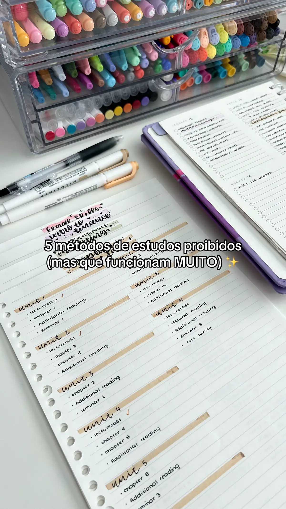 #studytok #stationery #estudos #papelaria #lettering -publi