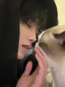 #Chinese #boychinese #cat 