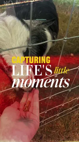 Life has kinda felt like an adventure lately ❤️✨ #life #nature #naturegirl #capcut #adventures 