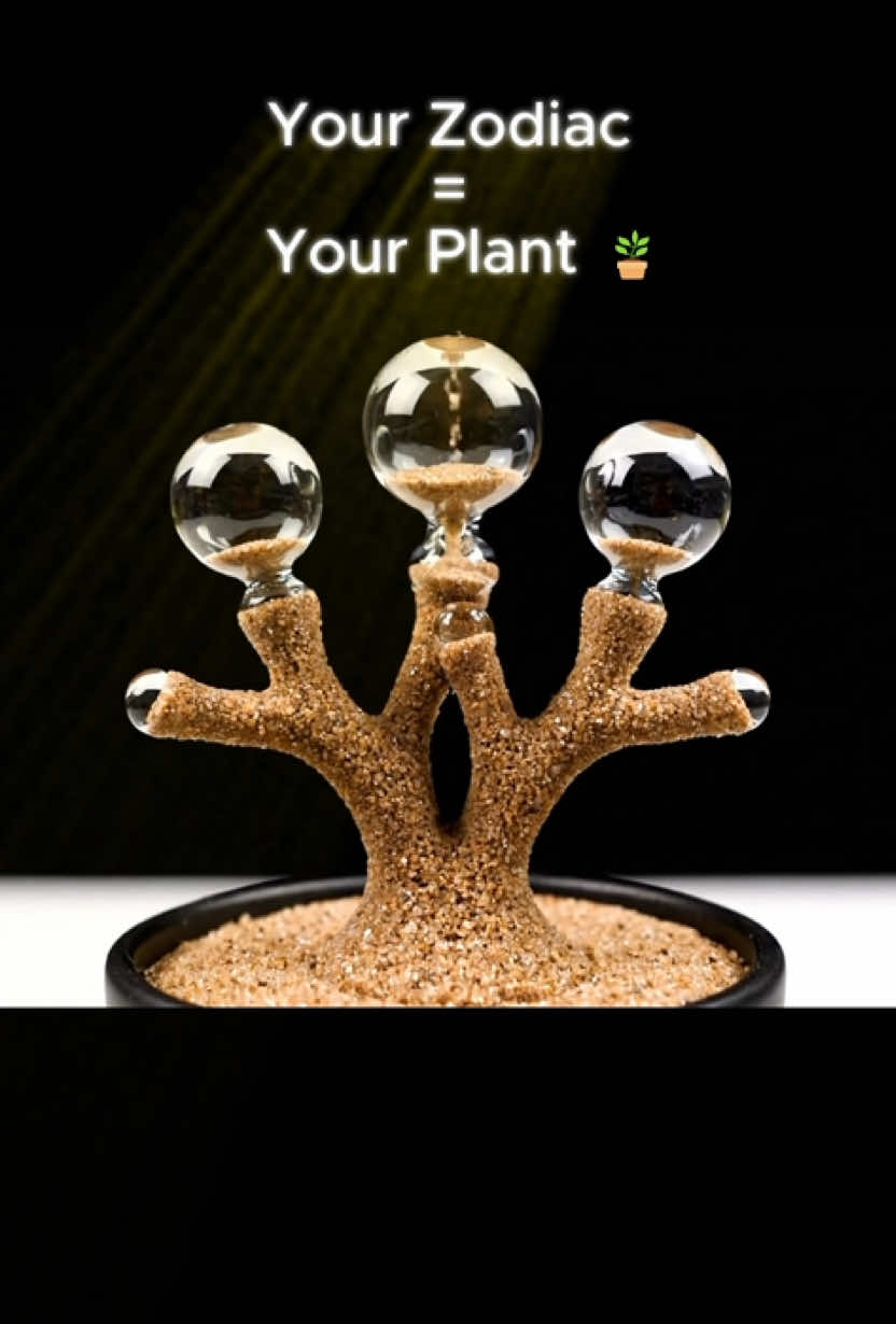 Your Zodiac = Your Plant 🪴#asmr #satisfyng #asmrvideosounds #ai #asmrsounds 