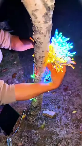 Pisca Pisca Natal Cordão 100 Leds 10m 8 Funções Varias Cores 110v#piscapisca  #Natal #FelizNatal #Shop