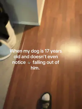 He getting pretty old #olddogsoftiktok 