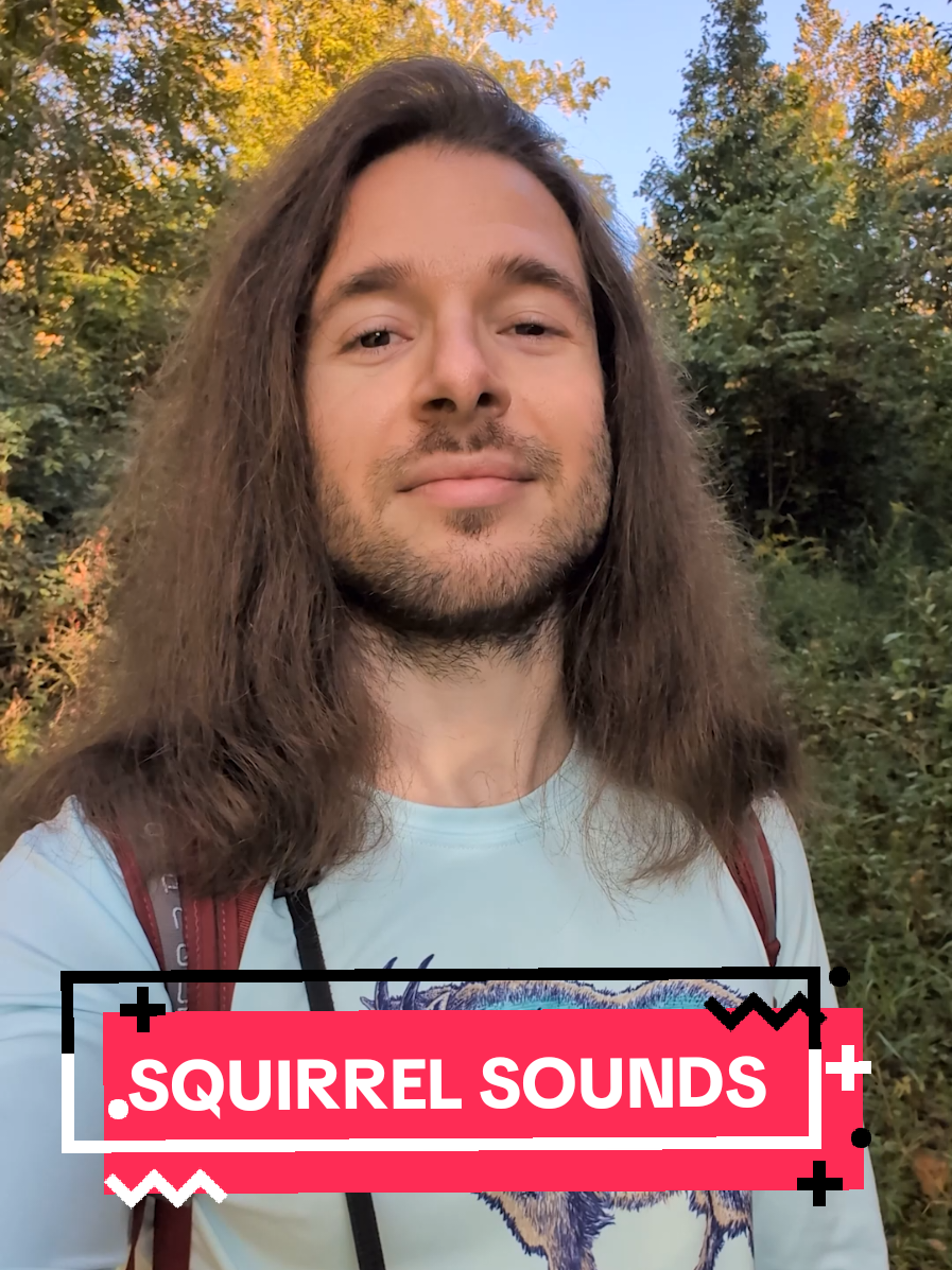 Learn about the Squirrel family, Sciuridae 🐿️🔊 There are 284 squirrels in this family, including marmots, prairie dogs, groundhogs and more!  #AnimalFacts #squirrels #educational #marmotscreaming 