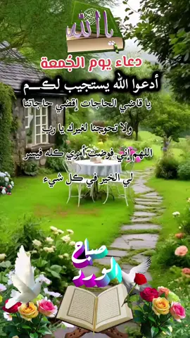 #دعاء_يوم_الجمعة #الهي_كيف_اخيب_وانت_املي #ياالله #اللهم_امين #جمعة_مباركة 