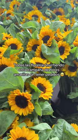 Dios mediante 🥹🤞🏼 #floresamarillas #campañafloresamarillas #21deseptiembre #21deseptiembrefloresamarillas #floricientafloresamarillas 