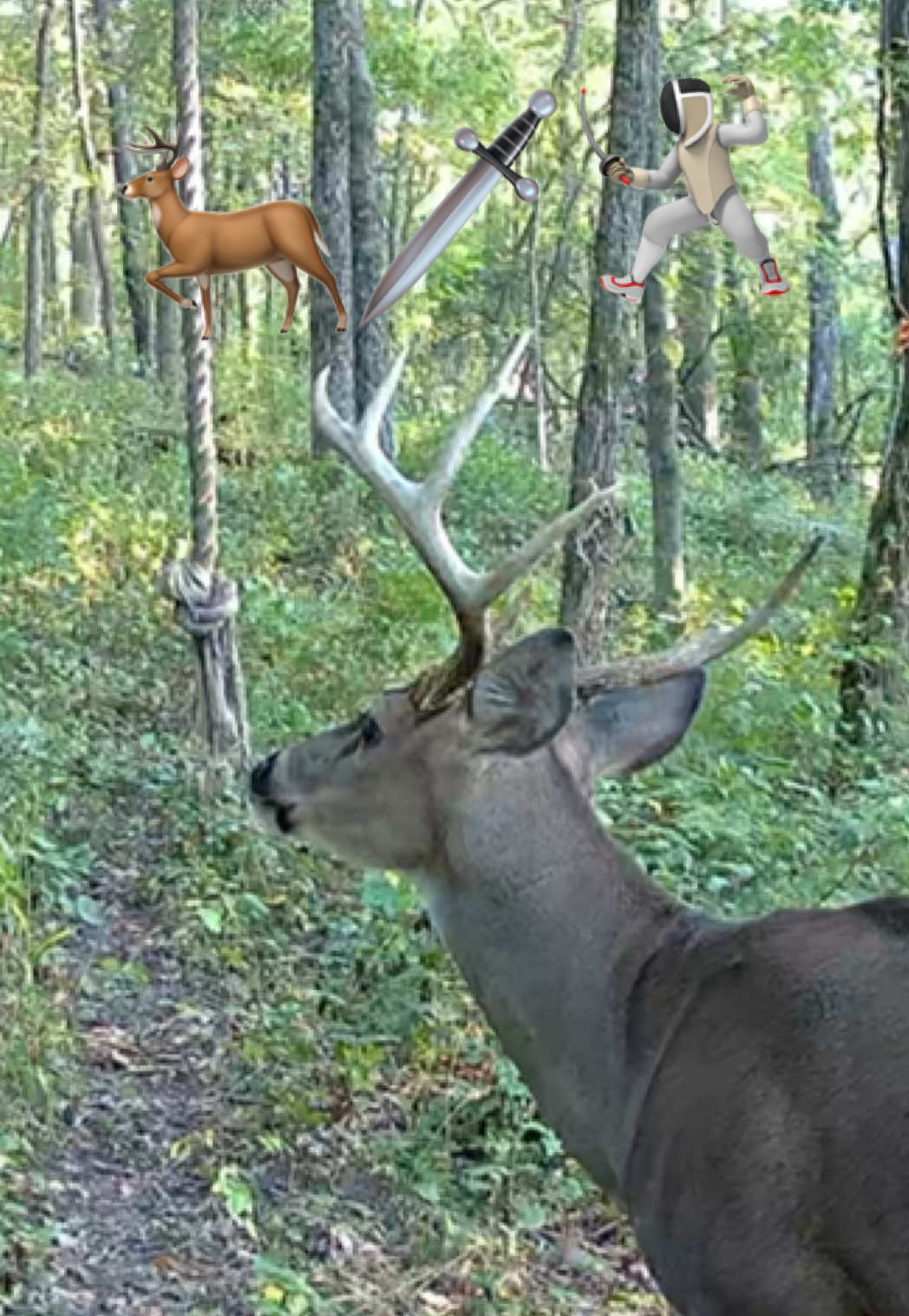 Hopefully no others Buck want to hit this HempScent Rope setup this buck is armed an dangerous 😂 #deer #bigbuck #whitetail #hemprope #hodagoutdoors 