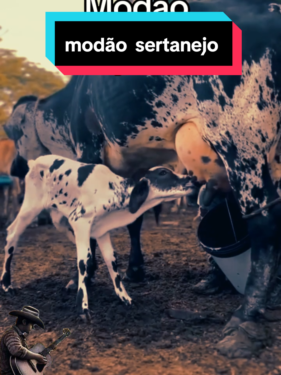 #modãosertanejo  #musicaraiz  #coisasdaroça🤠🌾  #fy #viraltiktok 